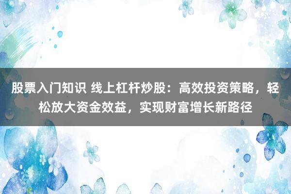 股票入门知识 线上杠杆炒股：高效投资策略，轻松放大资金效益，实现财富增长新路径