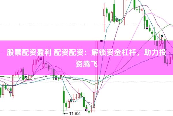 股票配资盈利 配资配资：解锁资金杠杆，助力投资腾飞