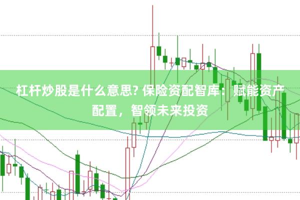 杠杆炒股是什么意思? 保险资配智库：赋能资产配置，智领未来投资
