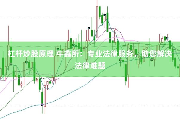 杠杆炒股原理 牛鑫所：专业法律服务，助您解决法律难题