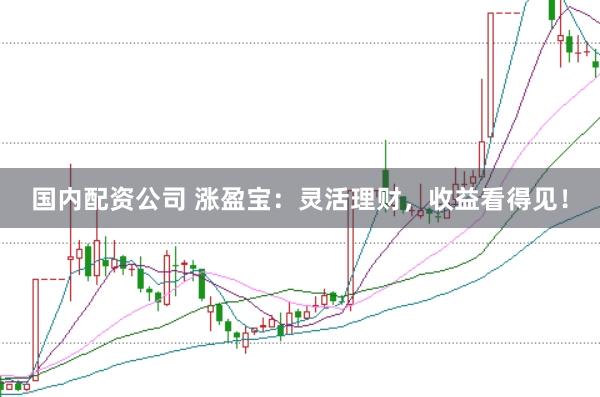 国内配资公司 涨盈宝：灵活理财，收益看得见！