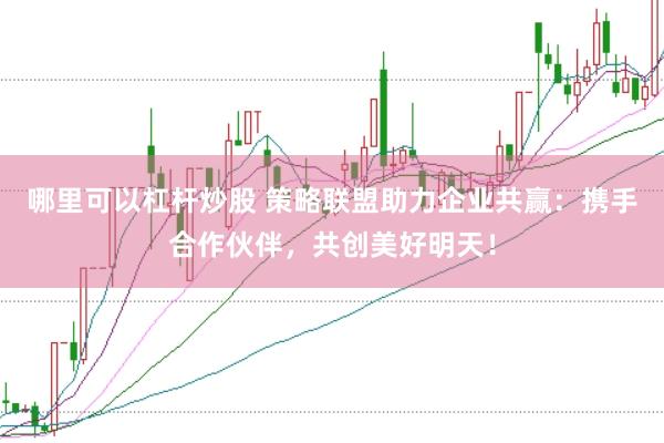 哪里可以杠杆炒股 策略联盟助力企业共赢：携手合作伙伴，共创美好明天！