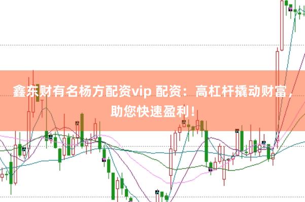鑫东财有名杨方配资vip 配资：高杠杆撬动财富，助您快速盈利！