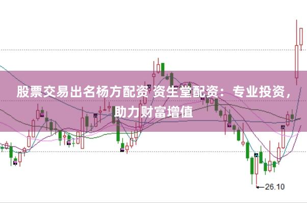 股票交易出名杨方配资 资生堂配资：专业投资，助力财富增值