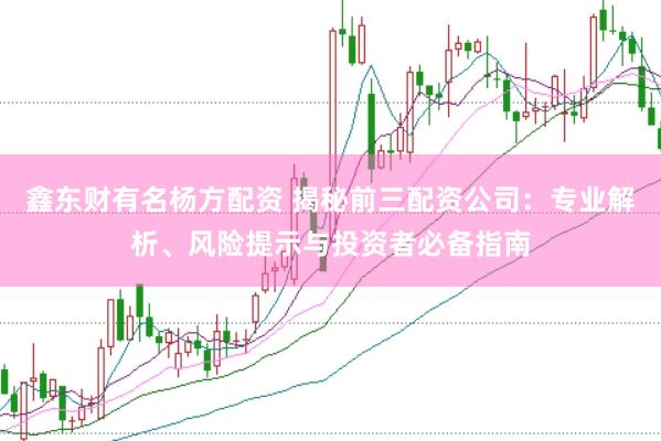 鑫东财有名杨方配资 揭秘前三配资公司：专业解析、风险提示与投资者必备指南
