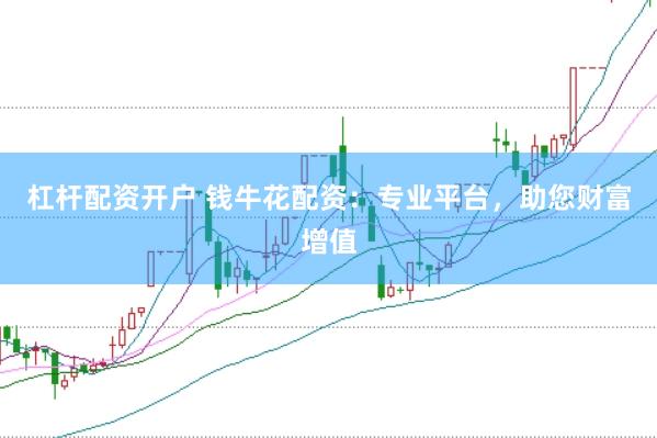 杠杆配资开户 钱牛花配资：专业平台，助您财富增值