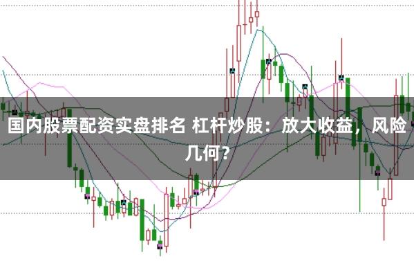 国内股票配资实盘排名 杠杆炒股:放大收益,风险几何?