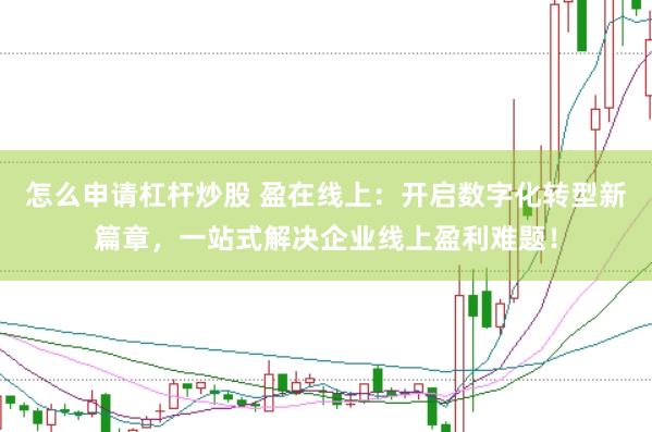 怎么申请杠杆炒股 盈在线上：开启数字化转型新篇章，一站式解决企业线上盈利难题！