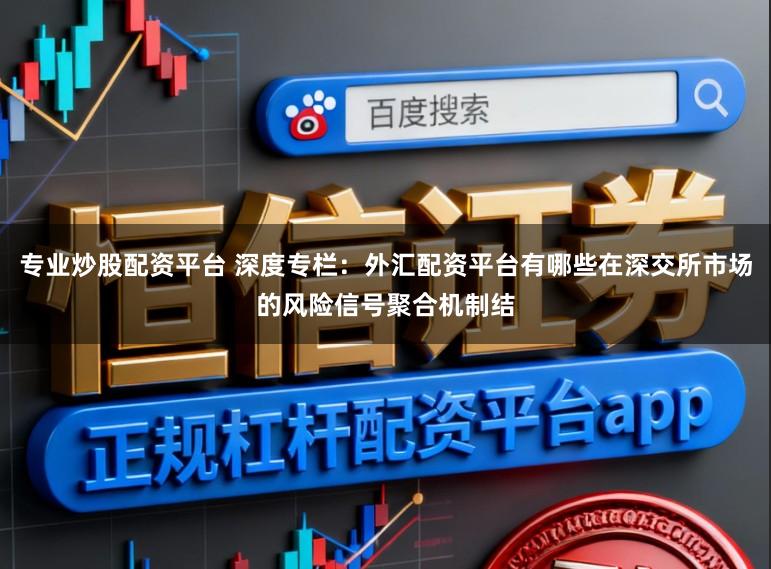 专业炒股配资平台 深度专栏：外汇配资平台有哪些在深交所市场的风险信号聚合机制结