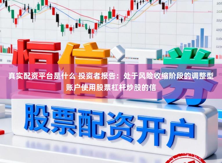 真实配资平台是什么 投资者报告：处于风险收缩阶段的调整型账户使用股票杠杆炒股的信