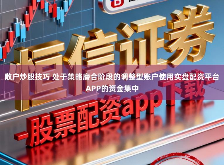 散户炒股技巧 处于策略磨合阶段的调整型账户使用实盘配资平台APP的资金集中