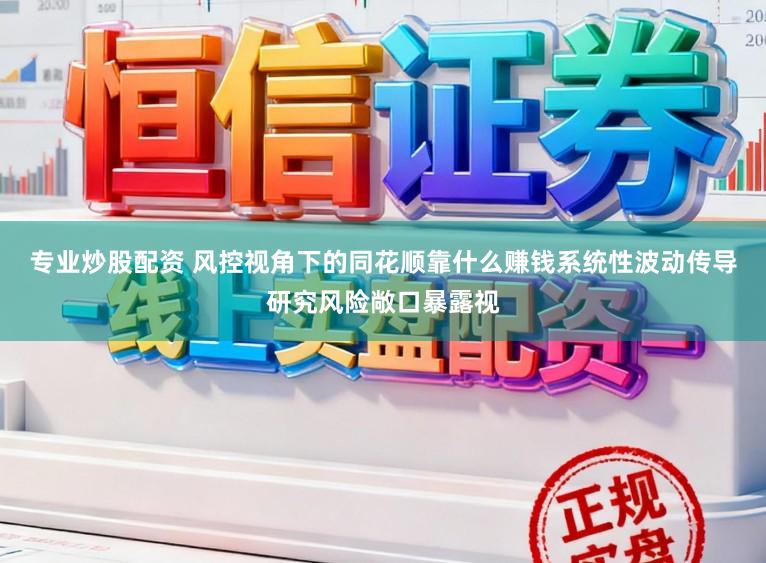 专业炒股配资 风控视角下的同花顺靠什么赚钱系统性波动传导研究风险敞口暴露视