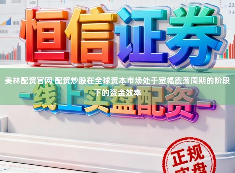 美林配资官网 配资炒股在全球资本市场处于宽幅震荡周期的阶段下的资金效率